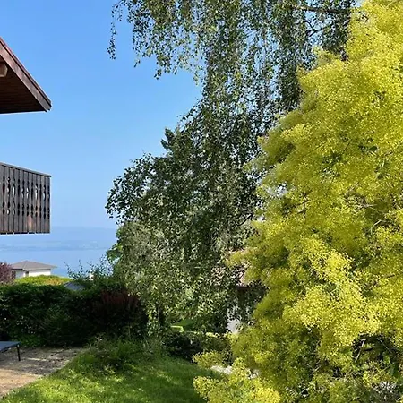 Apartment Cosy Au Calme Avec Terrasse, Parking, Et Internet A - Fr-1-498-15 Evian-les-Bains